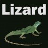 Lizard